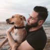 About FunCleverFox,Funcleverfox