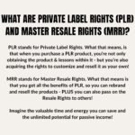 PLR MRR Kids Digital Products, plr mrr Educational Resources, Editable Kids Activities Worksheets, Private Label Rights Master Resell Rights - Image 9